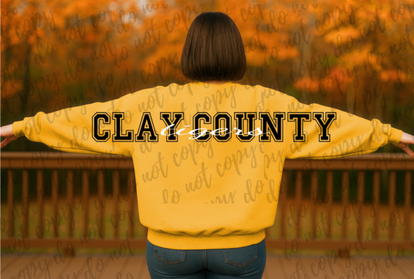 Clay County Tigers (Gold)