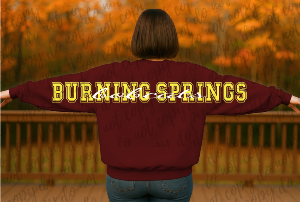 Burning Springs Bobcats