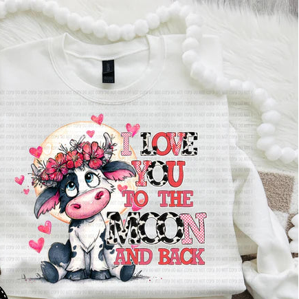 I love you to the Moon and Back