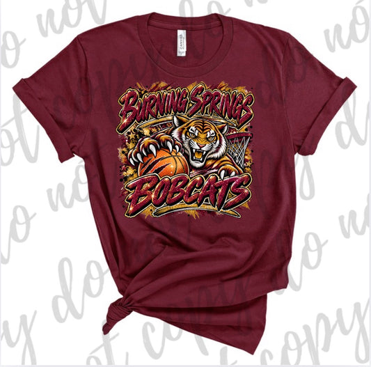 Burning Springs Bobcats