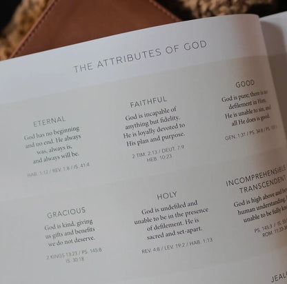 ESTHER BIBLE STUDY