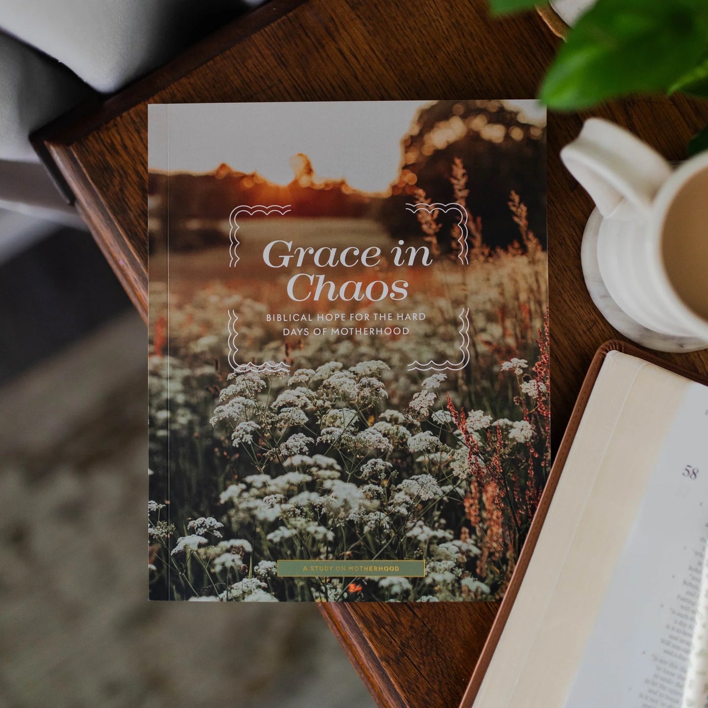 GRACE IN CHAOS | MOTHERHOOD BIBLE STUDY